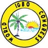 World Igbo Congress USA Convention raises posers