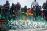 Fisheries operators pick holes in Marine and Blue Economy policy targets