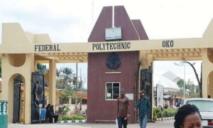 Over 300 Oko Poly staff unpaid since 2023 appeal to FG