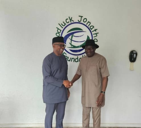 2027: Details of Jonathan, Peter Obi meeting emerge