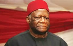 Nigeria must be economically strong like South Africa to complement its role in the international system — Ike Nwachukwu