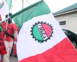 NLC as Senator Natasha's defender 