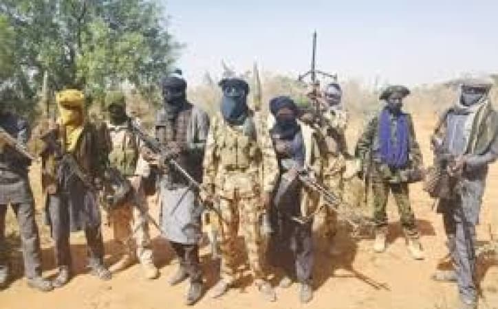 How bandits ‘rule’ 10 Sokoto LGAs