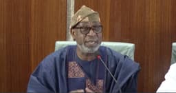 Ansaru: Alake hails verdict as victory on war against illegal mining