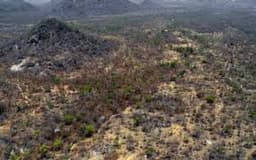 Courageous escape from Sambisa Forest: One woman’s journey of survival, resilience