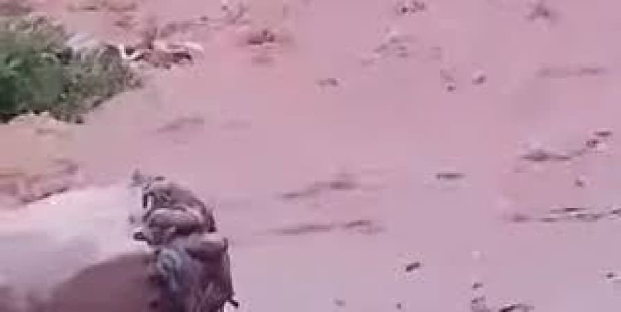 Flood sweeps away okada rider in Edo