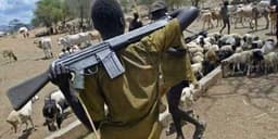 Fact-Finding Committee: Armed Fulani militias, herders responsible for persistent killings in Plateau