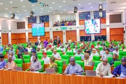 Reps to hold national public hearing on 1999 Constitution review, Monday