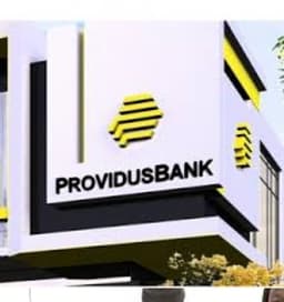 Experts want CBN to sanction Providus bank over failure to report suspicious $7m