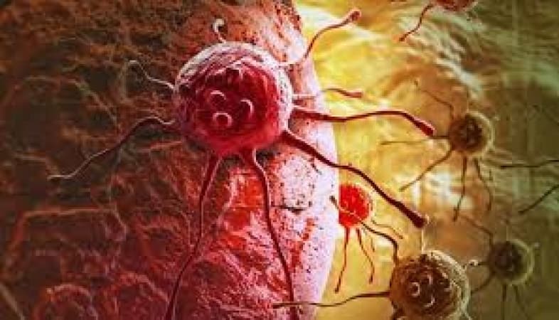 Global cancer toll to rise by 61 per cent in 2050 — Report