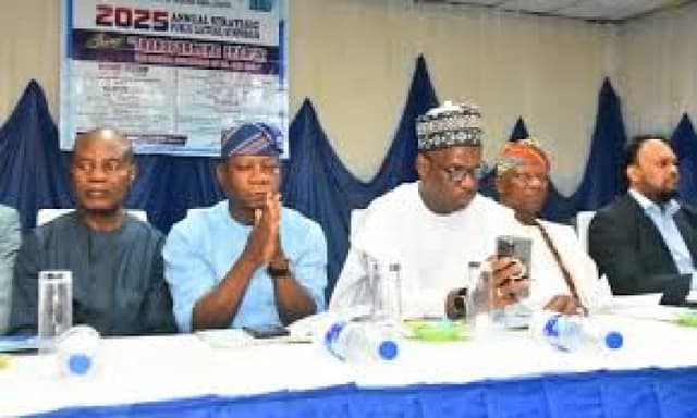 How digital evolution will transform Nigeria?s energy sector ? Experts