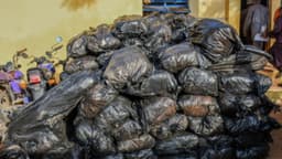 Cannabis concealed under yam tubers intercepted in Kwara