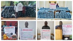 NDLEA arrests 2 drug kingpins with consignments of cocaine, others