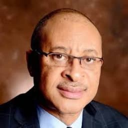 BREAKING: Court stops Shadow Govt, restrains Prof. Utomi