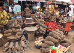Traders, residents decry high food prices in Lagos