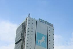 Who owns Union Bank and who will recapitalise the bank – The back story untold