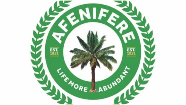 Afenifere fumes over incursion of terrorists into Kwara, Kogi