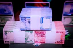 Naira rallies to N1,455/$; reserves hit $43bn