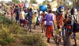 Over 5,000 Nigerians flee to Cameroon after Boko Haram seizes Borno border town