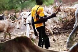 Two killed as suspected herders attack farmers in Benue
