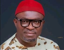 Another South-East state will soon fall to APC, says Udeh Okoye