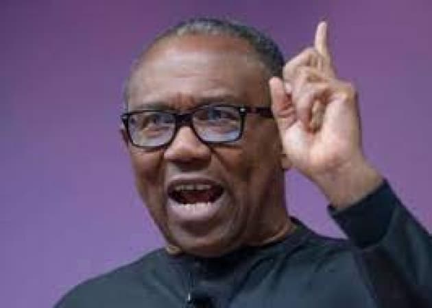 I can change Nigeria for the better in four years ? Peter Obi