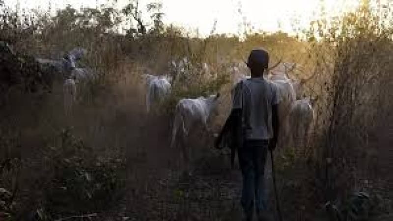 Two arrested over killing of herder in Kogi community