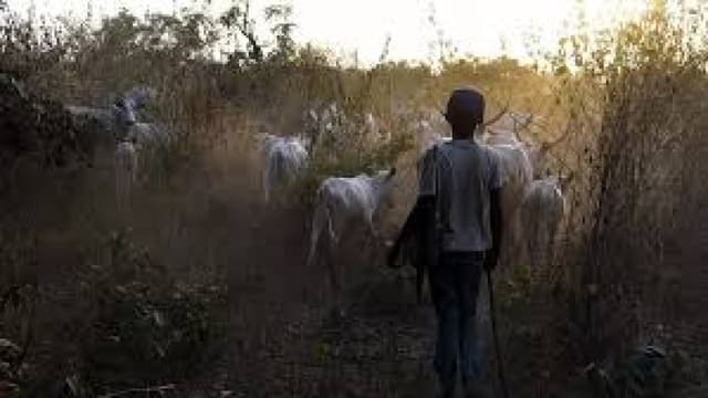 Two arrested over killing of herder in Kogi community