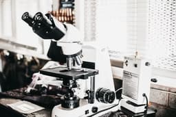 PE-22-28 Peptide: A Compact Molecule with Expansive Potential in Research