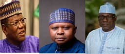 Convention: Lamido, Turaki, Makarfi lead PDP chairman race