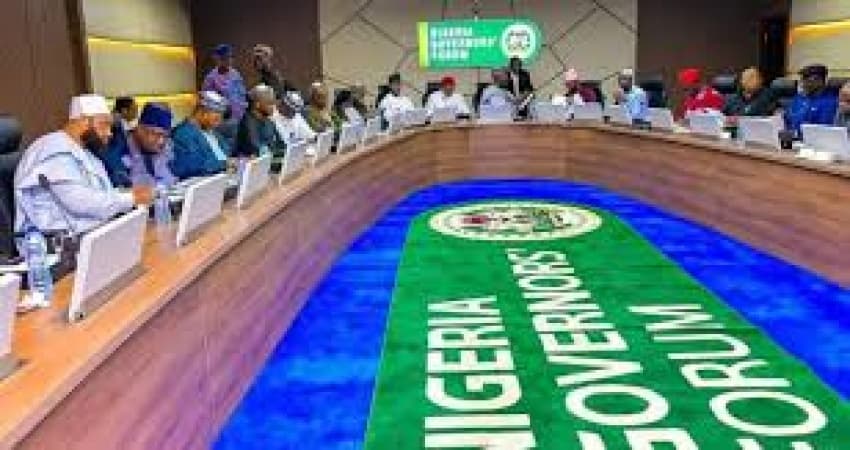 Governors: Removal of Nigeria from Grey List of FATF evidence of Tinubu?s financial discipline, integrity