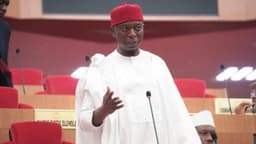 Creation of one more state, Nnamdi Kanu’s release will bring peace to South-East, says Ned Nwoko