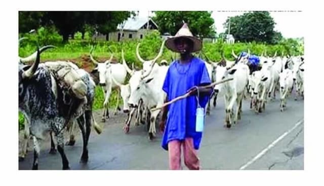 Church raises the alarm over herders’ invasion of Taraba communities