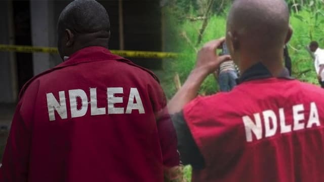 Heavy gunshots as NDLEA foils attempts by hoodlums to free arrested drug kingpin in Rivers