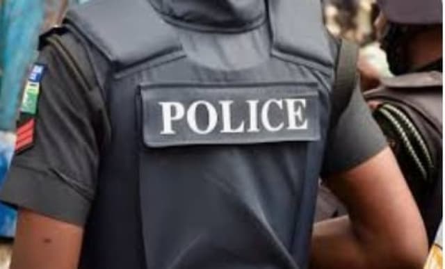 Armed men in viral video vigilantes, not bandits ? Jigawa police