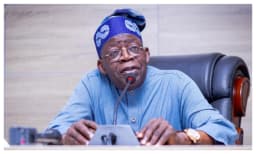 Pay our outstanding three months wage award, promotion arrears ? Workers tell Tinubu