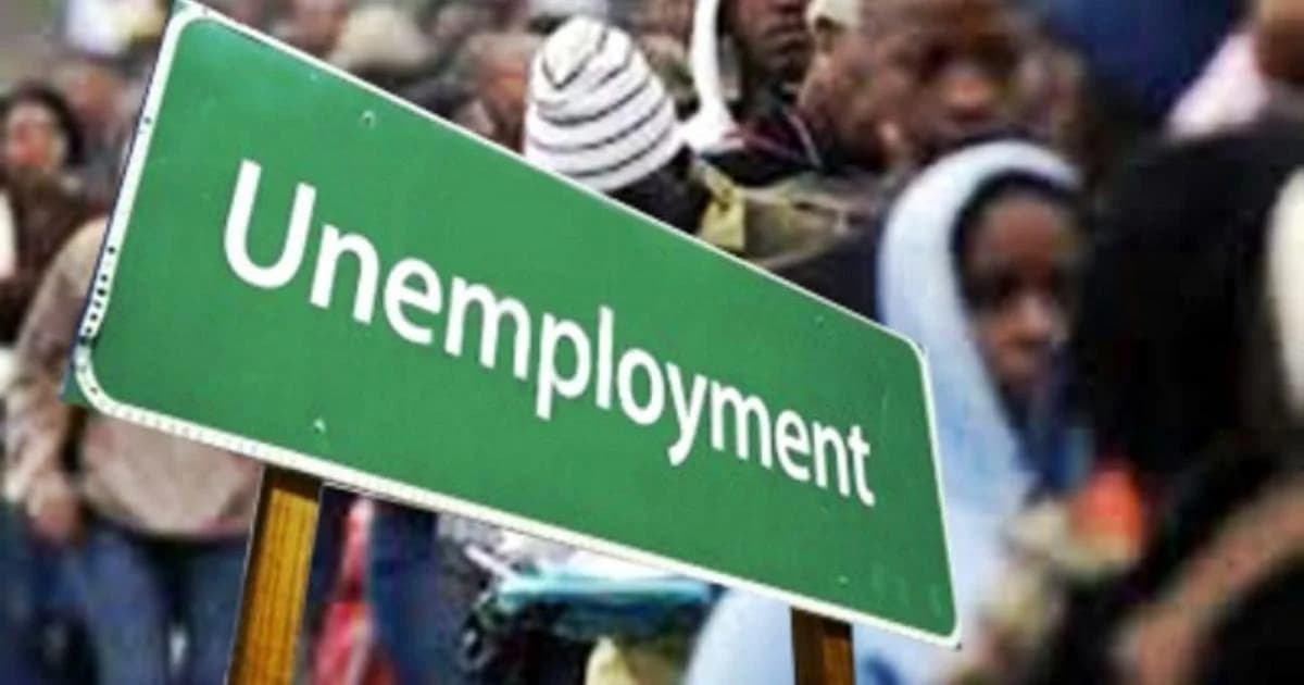 Turn your degrees into employable skills, experts charge students