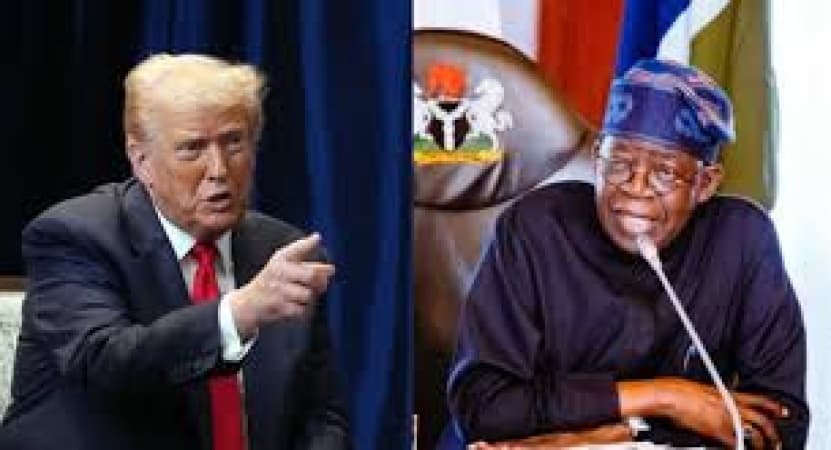 How Nigeria should respond to Trump’s action, by Oyebode, Ogunsanwo, Soremekun