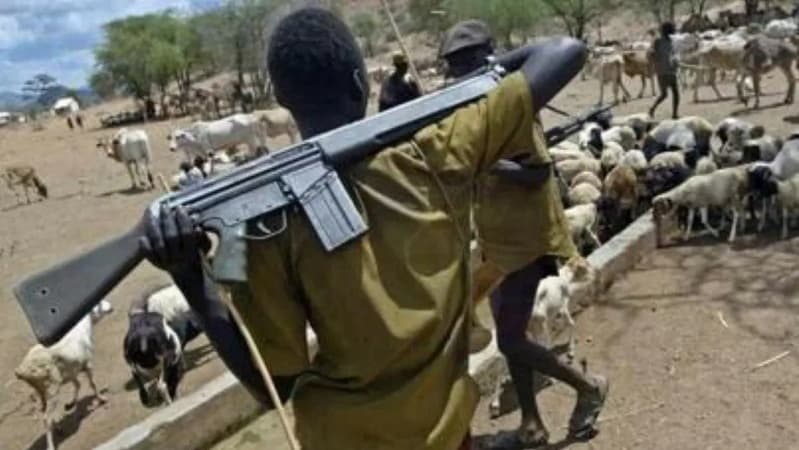 Residents flee as herdsmen kill Benue community leader in ambush