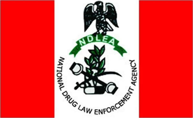 NDLEA warns Nigerians against fake ‘medicinal cannabis’, arrests suspect