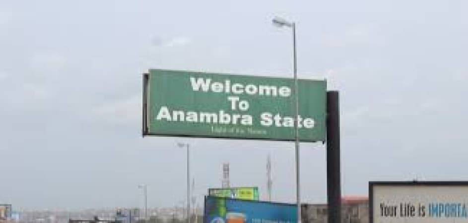 Anambra community celebrates return of slave descendant from US