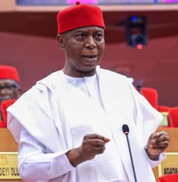 97 Senators, Tinubu throw weight behind creation of Anioma State — Nwoko