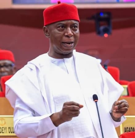 97 Senators, Tinubu throw weight behind creation of Anioma State — Nwoko