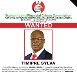 Sylva: EFCC puts FBI, NCA, INTERPOL on alert