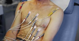 Neurologists link dementia to heart health, physical inactivity, others