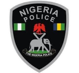 Rivers: Police arrest 8 cultists, recover weapons