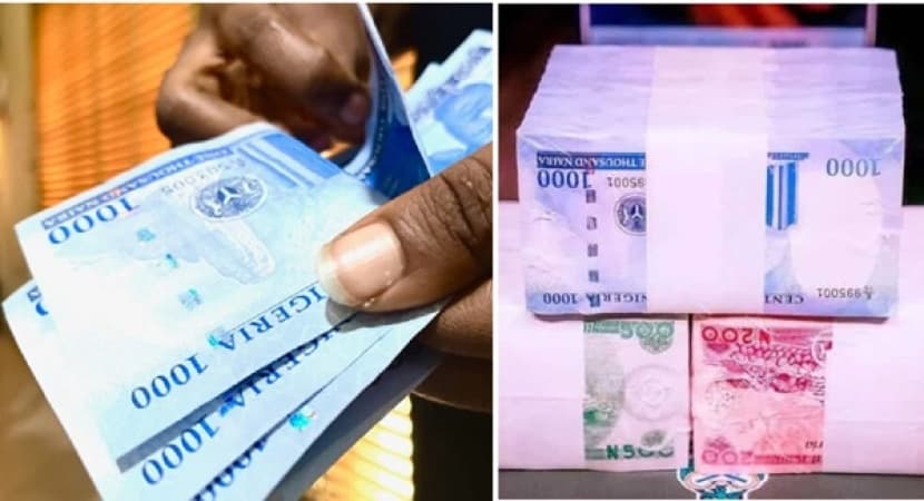 Why businesses can’t access credit from financial institutions