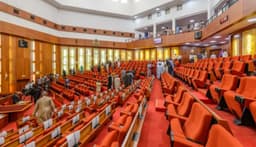 Senate seeks fresh solutions to rising insecurity