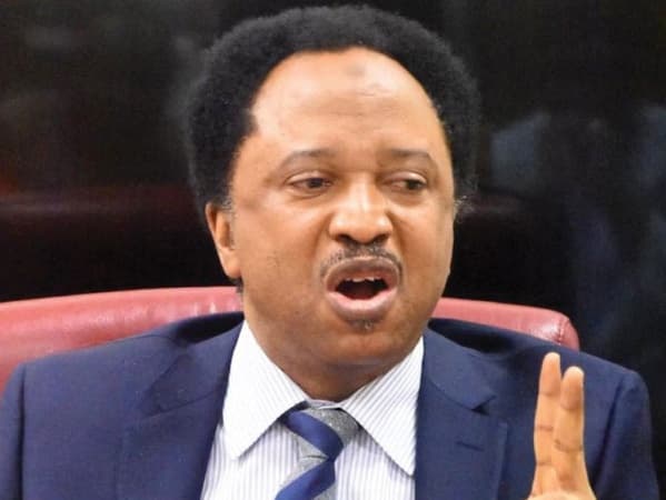 Insecurity: Shehu Sani, Christian, Muslim clerics demand urgent federal action