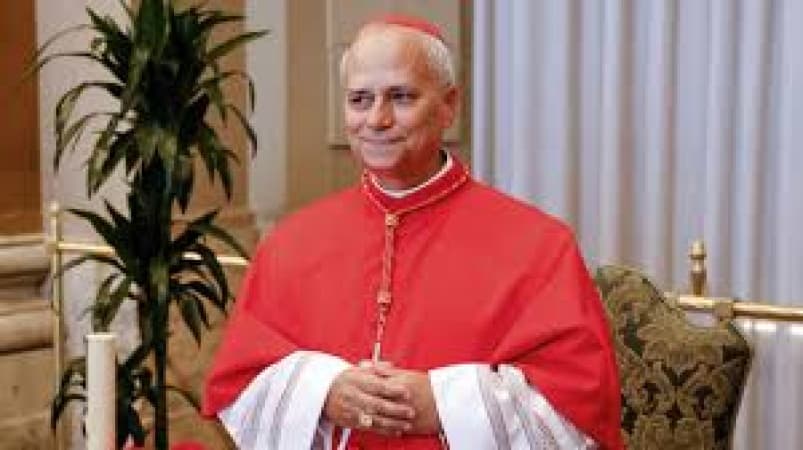 Pope demands immediate release of 315 abducted in Niger school, others